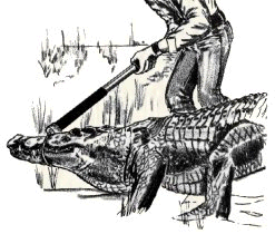 The right tool for the right job...